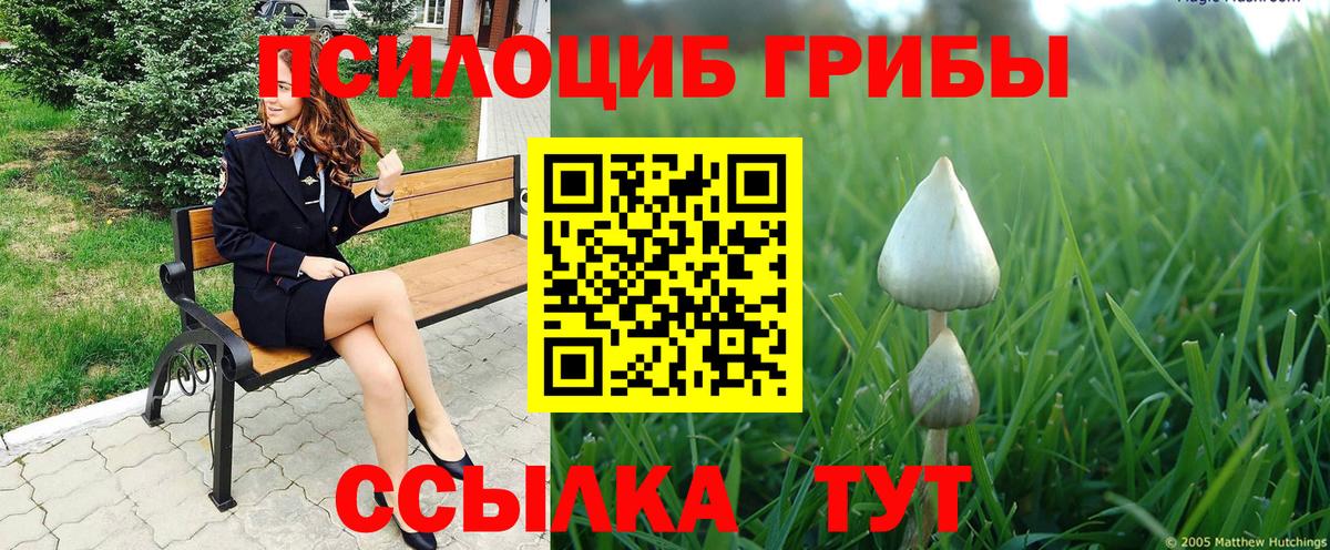 Псилоцибиновые грибы Magic Shrooms  Вход с VPN  Юрга  купить закладку  Псилоцибиновые грибы GOLDEN TEACHER 